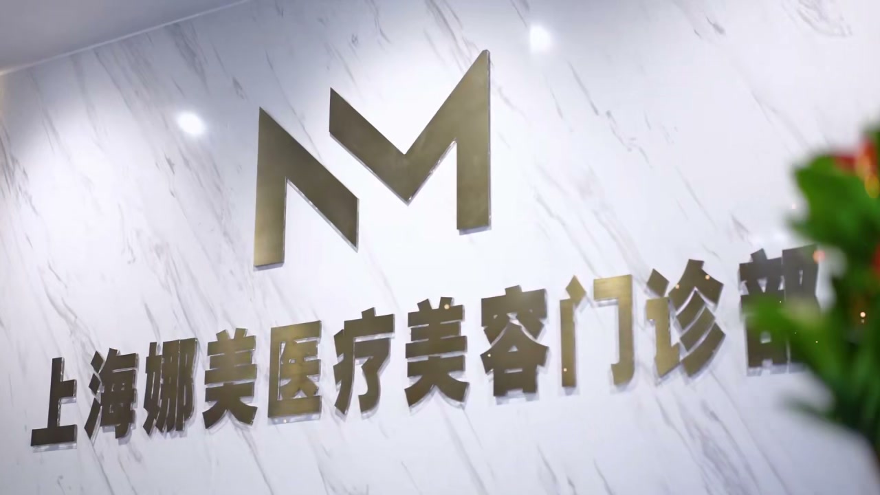 Logo Resmi NM Shanghai Namei Medical Aesthetic